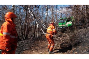Avviso Revoca Stato di Massima Pericolosità Incendi Boschivi